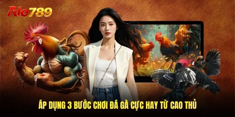 Áp dụng 3 bước chơi đá gà cực hay từ cao thủ