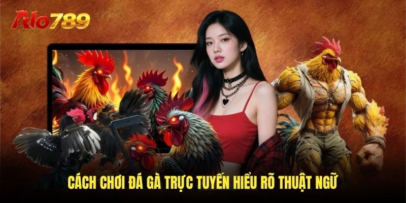 Cách chơi đá gà trực tuyến hiểu rõ thuật ngữ Cách chơi đá gà trực tuyến hiểu rõ thuật ngữ