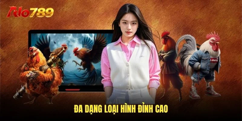 Đa dạng loại hình đỉnh cao Đa dạng loại hình đỉnh cao