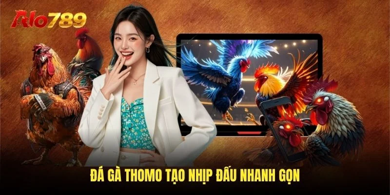 Đá gà thomo tạo nhịp đấu nhanh gọn Đá gà thomo tạo nhịp đấu nhanh gọn