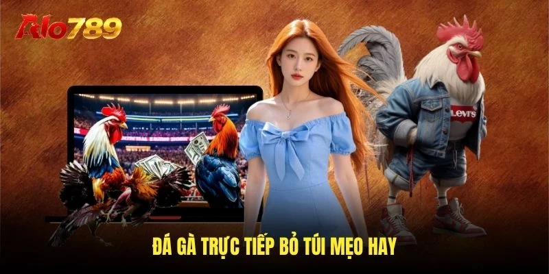 Đá gà trực tiếp bỏ túi mẹo hay Đá gà trực tiếp bỏ túi mẹo hay