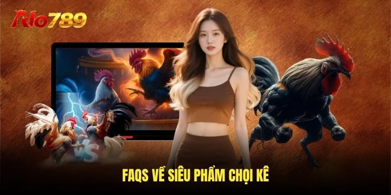 FAQs về siêu phẩm chọi kê FAQs về siêu phẩm chọi kê