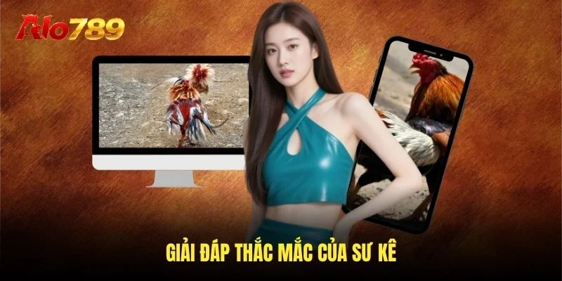 Giải đáp thắc mắc của sư kê Giải đáp thắc mắc của sư kê