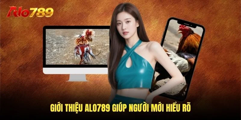 Giới thiệu Alo789 giúp người mới hiểu rõ
