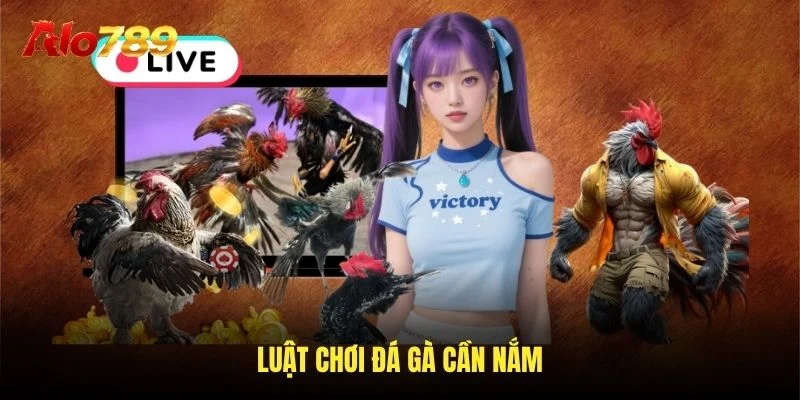 Luật chơi đá gà cần nắm