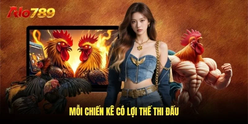 Mỗi chiến kê có lợi thế thi đấu Mỗi chiến kê có lợi thế thi đấu