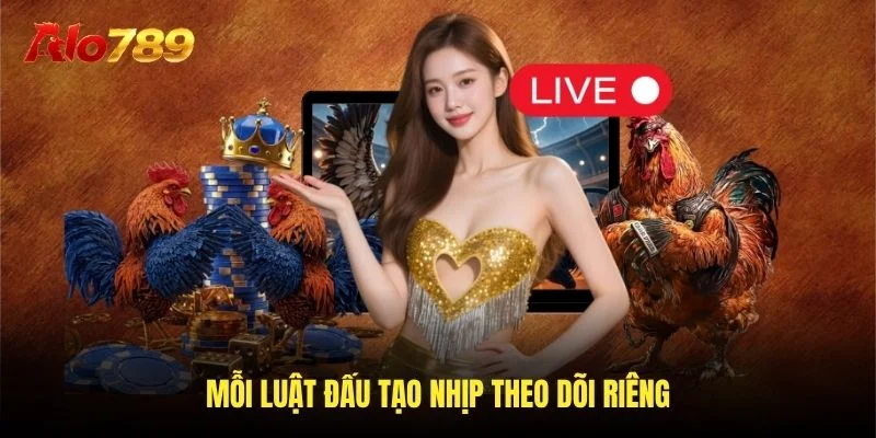 Mỗi luật đấu tạo nhịp theo dõi riêng Mỗi luật đấu tạo nhịp theo dõi riêng