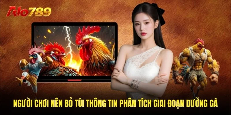 Người chơi nên bỏ túi thông tin phân tích giai đoạn dưỡng gà