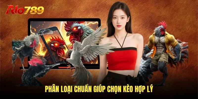 Phân loại chuẩn giúp chọn kèo hợp lý Phân loại chuẩn giúp chọn kèo hợp lý