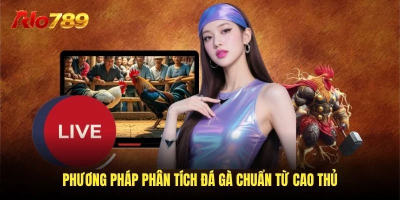 Phương pháp phân tích đá gà chuẩn từ cao thủ Phương pháp phân tích đá gà chuẩn từ cao thủ