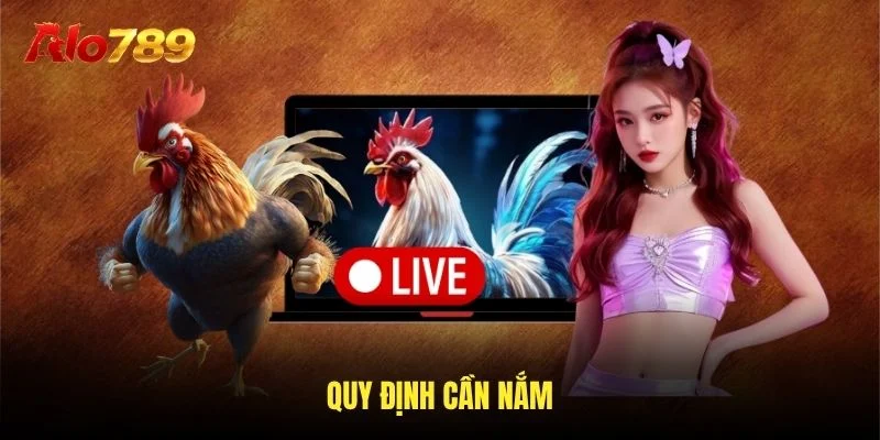 Quy định cần nắm Quy định cần nắm
