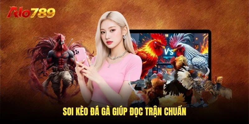 Soi kèo đá gà giúp đọc trận chuẩn Soi kèo đá gà giúp đọc trận chuẩn