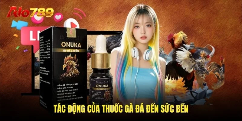 Tác động của thuốc gà đá đến sức bền Tác động của thuốc gà đá đến sức bền
