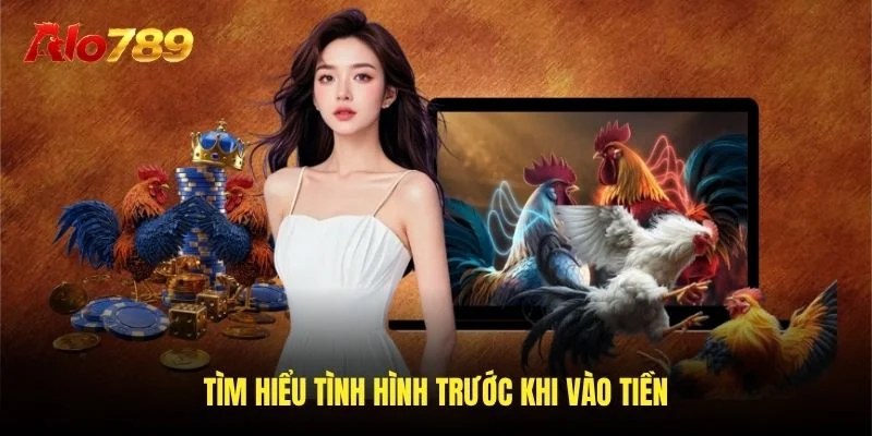 Tìm hiểu tình hình trước khi vào tiền
