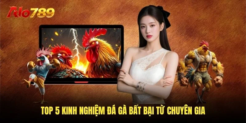 Top 5 kinh nghiệm đá gà bất bại của chuyên gia