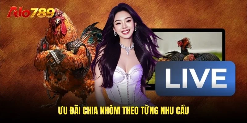 Ưu đãi chia nhóm theo từng nhu cầu