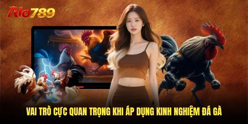 Vai trò cực quan trọng khi áp dụng kinh nghiệm đá gà